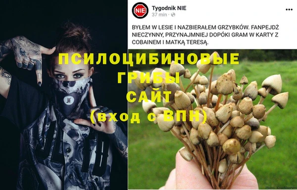 героин Кинешма